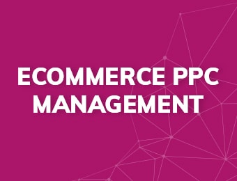 Ecommerce PPC Management Agency, PPC For Ecommerce Services
